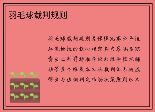 羽毛球载判规则